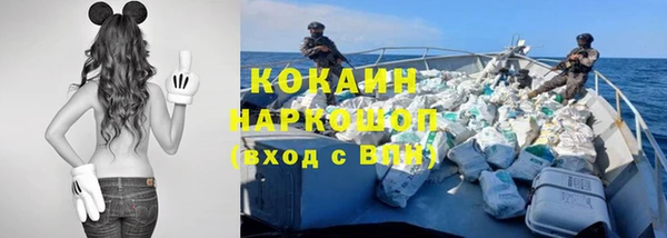 сатива Нея