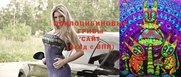 сатива Нея