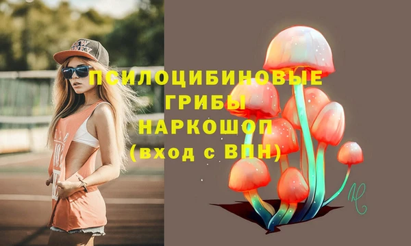 мдпв Нефтегорск