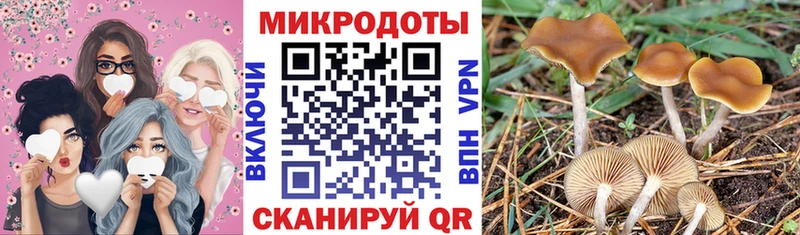 shop состав  Ужур  Галлюциногенные грибы Magic Shrooms  наркотики 